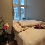 Apartmán Centre, Fantastic, New Bergen
